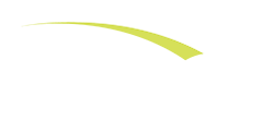 Palmiye California